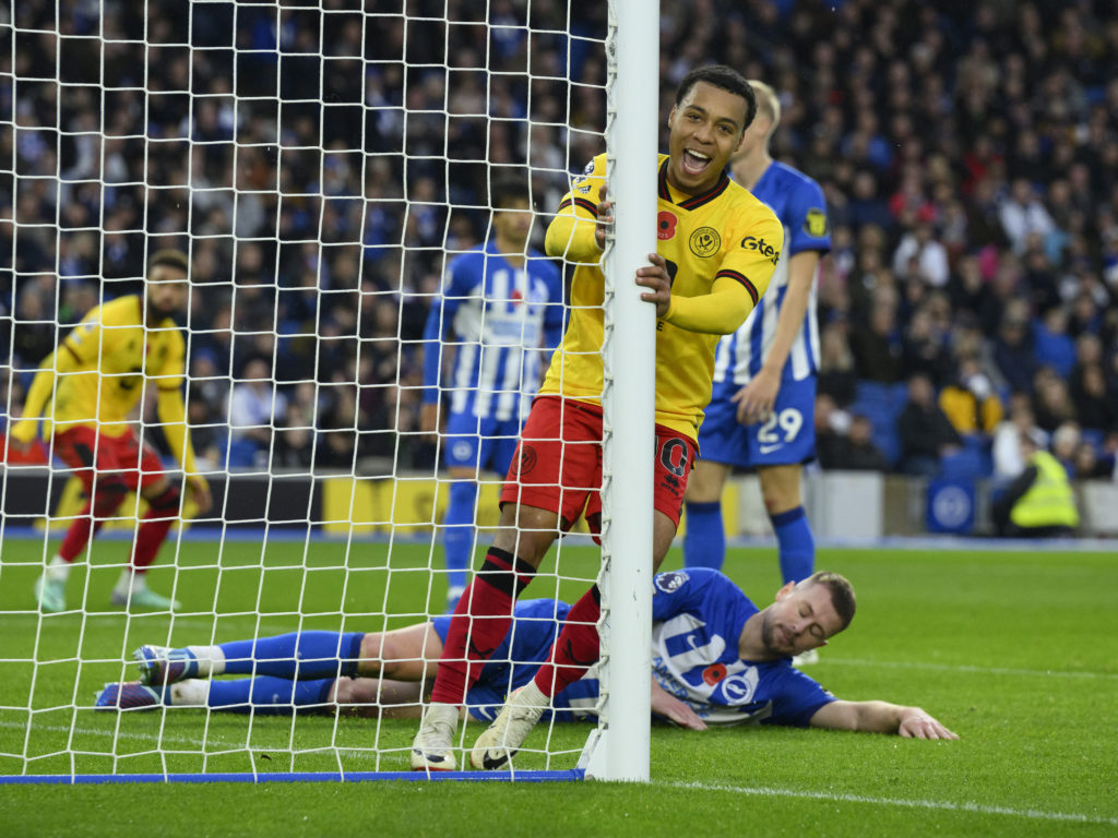 Brighton & Hove Albion v Sheffield United - Premier League